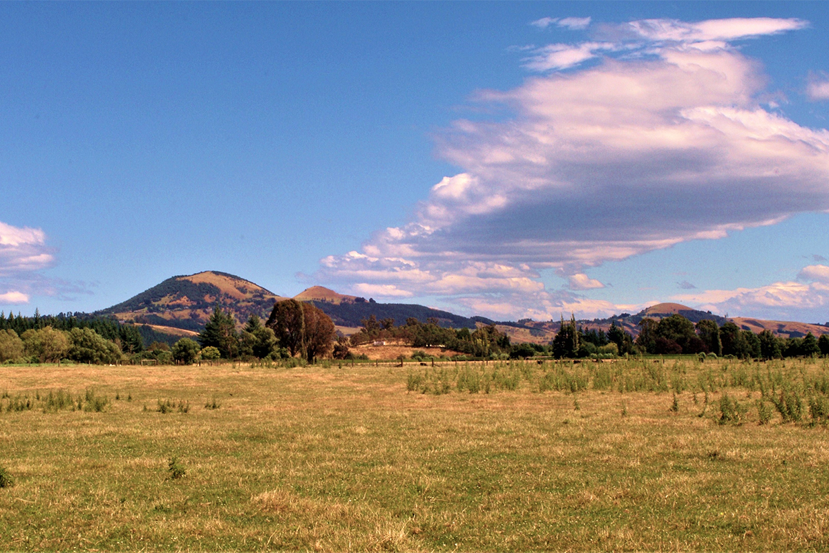 A Pictorial Coverage of Dunedin